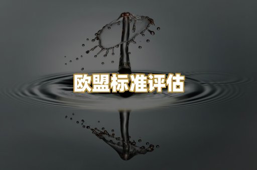 欧盟标准评估