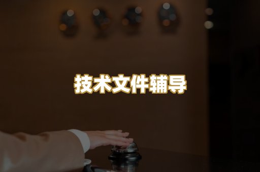 技术文件辅导