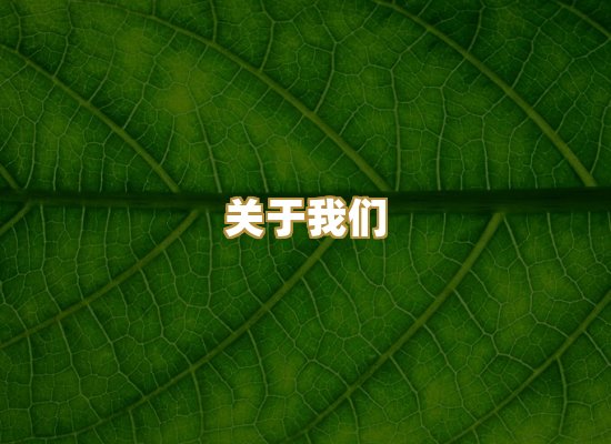 关于我们